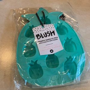 Pineapple ice cube tray